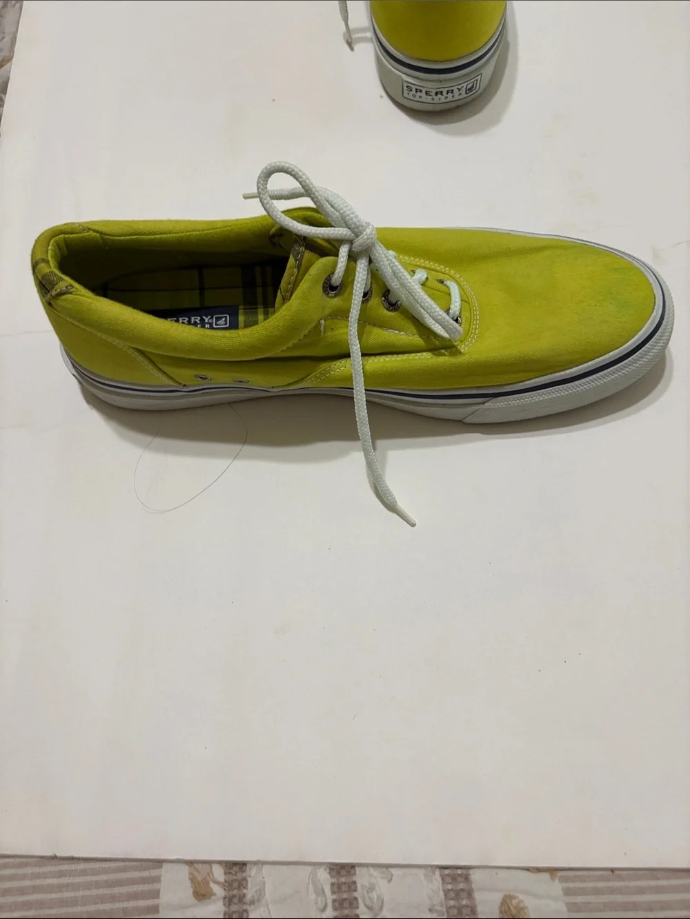 Sperry casual canvas